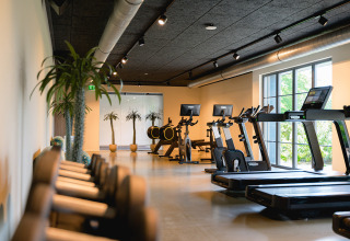 Moderno gimnasio con cintas de correr, bicicletas estáticas y ventanas grandes en Vakantiepark de Twee Bruggen.
