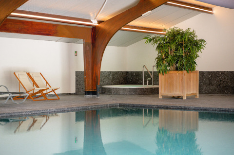 Piscina cubierta con tumbonas, gran planta en maceta y ambiente relajante en Vakantiepark de Twee Bruggen, Países Bajos.