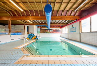 Overdekt zwembad met vrolijk slakkenbeeld en houten plafond in Vakantiepark Sallandshoeve, Overijssel.