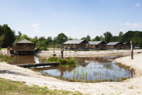 Cabañas junto a un estanque en Vakantiepark Sallandshoeve, Overijssel, Países Bajos, rodeadas de naturaleza.