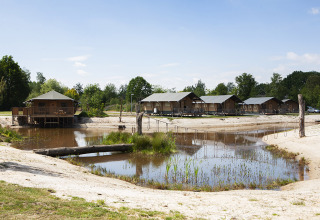 Vakantiehuizen bij een vijver in Vakantiepark Sallandshoeve, Overijssel, Nederland, omgeven door natuur.