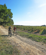 To personer cykler på en grusvej langs vinmarker og skov i solen ved Camping De l'Olivigne, Occitanie.