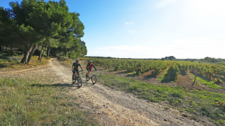 Due persone pedalano su un sentiero sterrato accanto a vigneti e bosco al Camping De l'Olivigne, Occitanie.