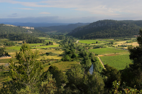 Vista panorámica de viñedos y colinas cerca de Bize-Minervois, Occitania, Francia, bajo cielo soleado.