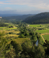 Vista panoramica su vigneti, boschi e colline presso Bize-Minervois in Occitania, Francia, in una giornata serena.