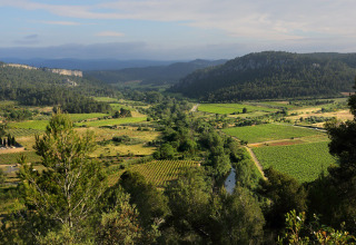 Scenic view of vineyards, forest, and hills near Bize-Minervois in Occitanie, France, on a bright day.