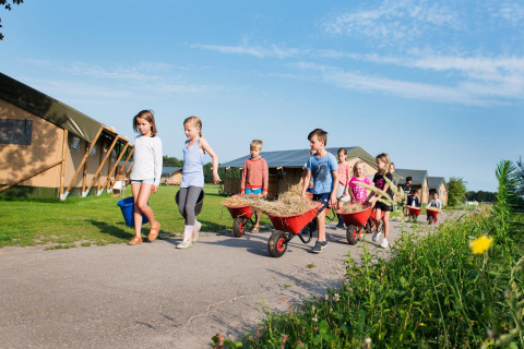 Kinderen helpen met kruiwagens en emmers op FarmCamps De Smulhoeve in Noord-Brabant, Nederland.
