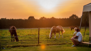 Vista al atardecer en FarmCamps De Smulhoeve, con una persona observando caballos pastar en el campo.