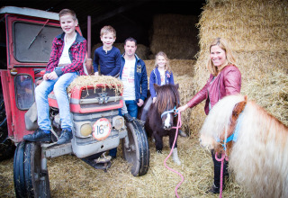 Family at a North Brabant farm park with kids on a tractor and ponies, surrounded by large hay bales.