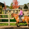 Child riding a pony while wearing a helmet at FarmCamps De Smulhoeve holiday park, located in North Brabant, Netherlands.