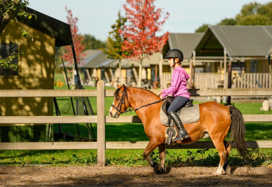 Barn rider på pony med ridehjelm i en indhegnet fold ved FarmCamps De Smulhoeve, feriepark i Nord-Brabant, Holland.