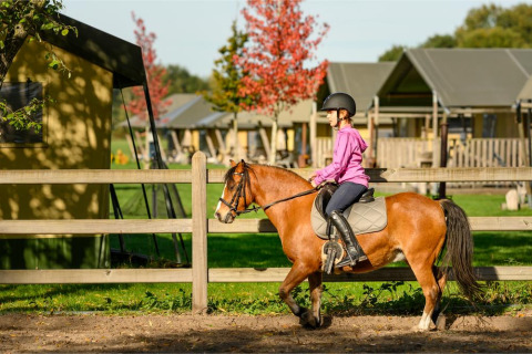 Bambina che cavalca un pony con casco a FarmCamps De Smulhoeve, parco vacanze nel North Brabant, Paesi Bassi.