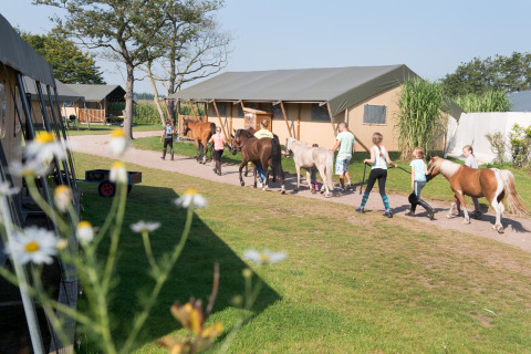 Niños paseando ponis por un sendero en FarmCamps Breehees, parque vacacional en North-Brabant, Países Bajos.