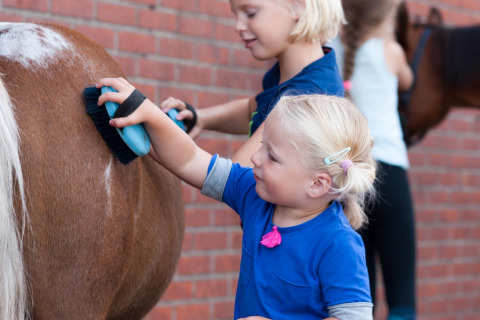 Niños cepillando un poni en FarmCamps Breehees, parque vacacional en Norte de Brabante, Países Bajos.