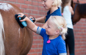 Bambini che spazzolano un pony a FarmCamps Breehees, un parco vacanze in Brabante Settentrionale, Paesi Bassi.