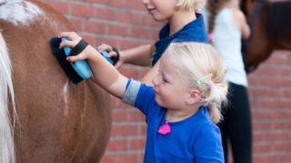 Niños cepillando un poni en FarmCamps Breehees, parque vacacional en Norte de Brabante, Países Bajos.