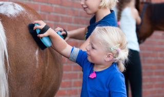 Niños cepillando un poni en FarmCamps Breehees, parque vacacional en Norte de Brabante, Países Bajos.