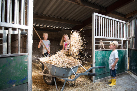 Des enfants jouent et aident avec du foin dans une étable au FarmCamps Breehees, parc de vacances en Brabant-Septentrional, Pays-Bas.