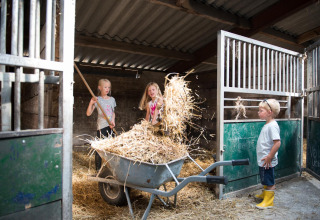 Bambini che giocano e aiutano con il fieno in una stalla a FarmCamps Breehees, parco vacanze nel Brabante Settentrionale, Paesi Bassi.