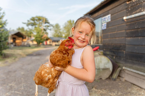 Een lachend meisje in een gestreepte jurk houdt een bruine kip vast op FarmCamps Breehees in Noord-Brabant.