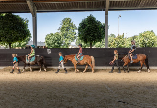 Kinder reiten Ponys mit Begleitern in einer überdachten Reithalle bei FarmCamps Breehees in Nordbrabant.