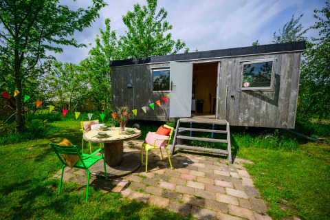Tiny house en bois chez Netl Camping Kallumaan, Pays-Bas, avec terrasse fleurie et guirlandes colorées.