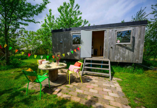 Tiny house en bois chez Netl Camping Kallumaan, Pays-Bas, avec terrasse fleurie et guirlandes colorées.