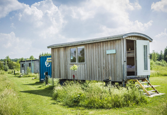 Photo de Pipowagen, une tiny house en bois sur roues, porte ouverte, dans un paysage verdoyant et ensoleillé.