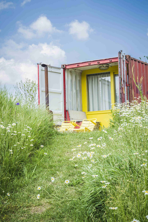 Tiny house colorata in container marittimo con due sedie gialle, circondata da fiori selvatici e erba alta.