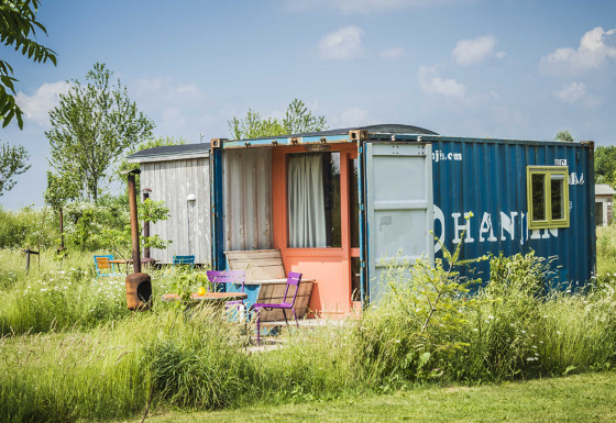 Une tiny house colorée construite à partir d'un conteneur maritime, entourée de fleurs sauvages et d'herbe.