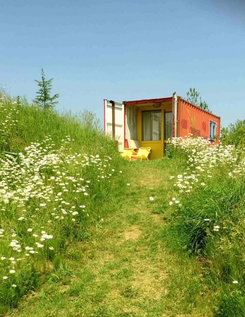 Ein winziges Haus aus einem Schiffscontainer bei Netl Camping Kallumaan in den Niederlanden, umgeben von Blumen.