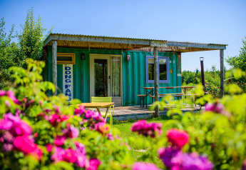 Pequeña casa de contenedor de envío con jardín florido y terraza de madera bajo el sol brillante.