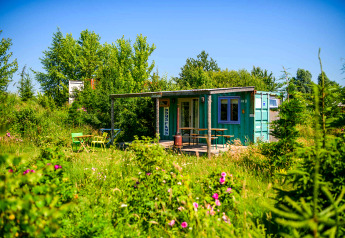 Et shipping container tiny house ved Netl Camping Kallumaan i Holland, omgivet af grønne planter og blomster.