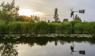 Atardecer sobre un canal con nenúfares y un molino de viento cerca de Kraggenburg, Flevolanda, Países Bajos.