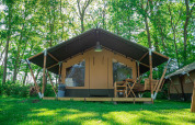 Lodge Compact en Camping de Tolbrug en los Países Bajos, rodeado de césped verde y árboles frondosos.