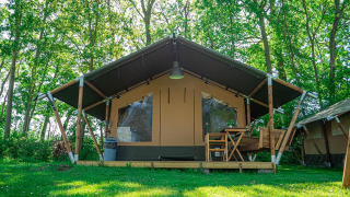 Lodge Compact en Camping de Tolbrug en los Países Bajos, rodeado de césped verde y árboles frondosos.