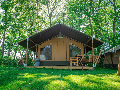 Das Lodge Compact auf Camping de Tolbrug in den Niederlanden, umgeben von grüner Wiese und Bäumen.
