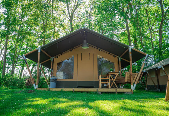 Lodge Compact en Camping de Tolbrug en los Países Bajos, rodeado de césped verde y árboles frondosos.