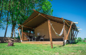 Safaritent met veranda en hangmat bij Camping de Tolbrug in Nederland, omringd door bomen en blauwe lucht.