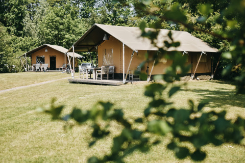 Safari-Zelt mit eigenem Bad auf Camping De Rammelbeek in den Niederlanden, umgeben von viel Grün.