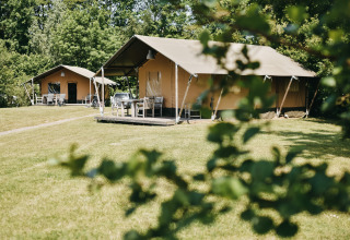 Tienda safari con baño privado en Camping De Rammelbeek, situada en un campo verde en los Países Bajos.
