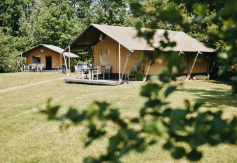 Safari-telt med eget bad ved Camping De Rammelbeek i Holland, placeret på en grøn plæne med træer.