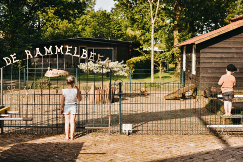 Bambini guardano dentro una recinzione al Camping De Rammelbeek, villaggio vacanze in Overijssel, Paesi Bassi.