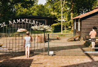 Bambini guardano dentro una recinzione al Camping De Rammelbeek, villaggio vacanze in Overijssel, Paesi Bassi.