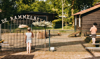 Niños mirando dentro de un área cercada en Camping De Rammelbeek, un parque vacacional en Overijssel, Países Bajos.
