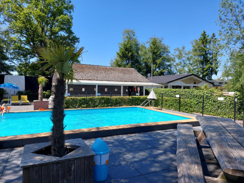 Piscina al aire libre con palmeras, bancos y tumbonas en Camping Emmen, Drenthe, Países Bajos, en día soleado.