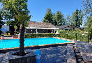 Piscina al aire libre con palmeras, bancos y tumbonas en Camping Emmen, Drenthe, Países Bajos, en día soleado.