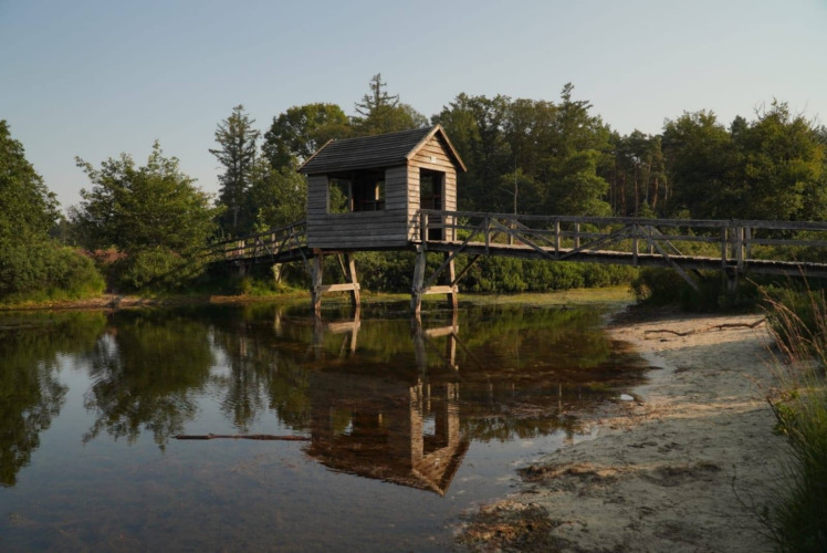 Holzbrücke mit kleinem Häuschen über einem ruhigen Teich in Familiepark de Vechtvallei, Overijssel, Niederlande.