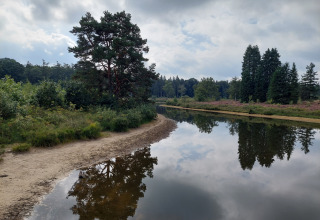 Landschaft im Familiepark de Vechtvallei, Overijssel, Niederlande, mit See, Bäumen und Wasserreflexionen.