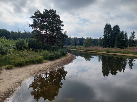 Landschaft im Familiepark de Vechtvallei, Overijssel, Niederlande, mit See, Bäumen und Wasserreflexionen.